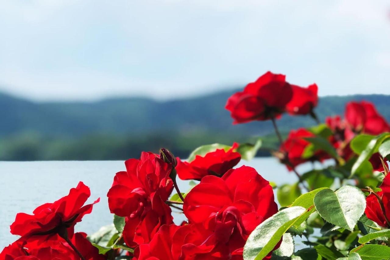Casa Gaiani Villetta In Riva Al Lago Vista Mozzafiato 바라노볼기 외부 사진